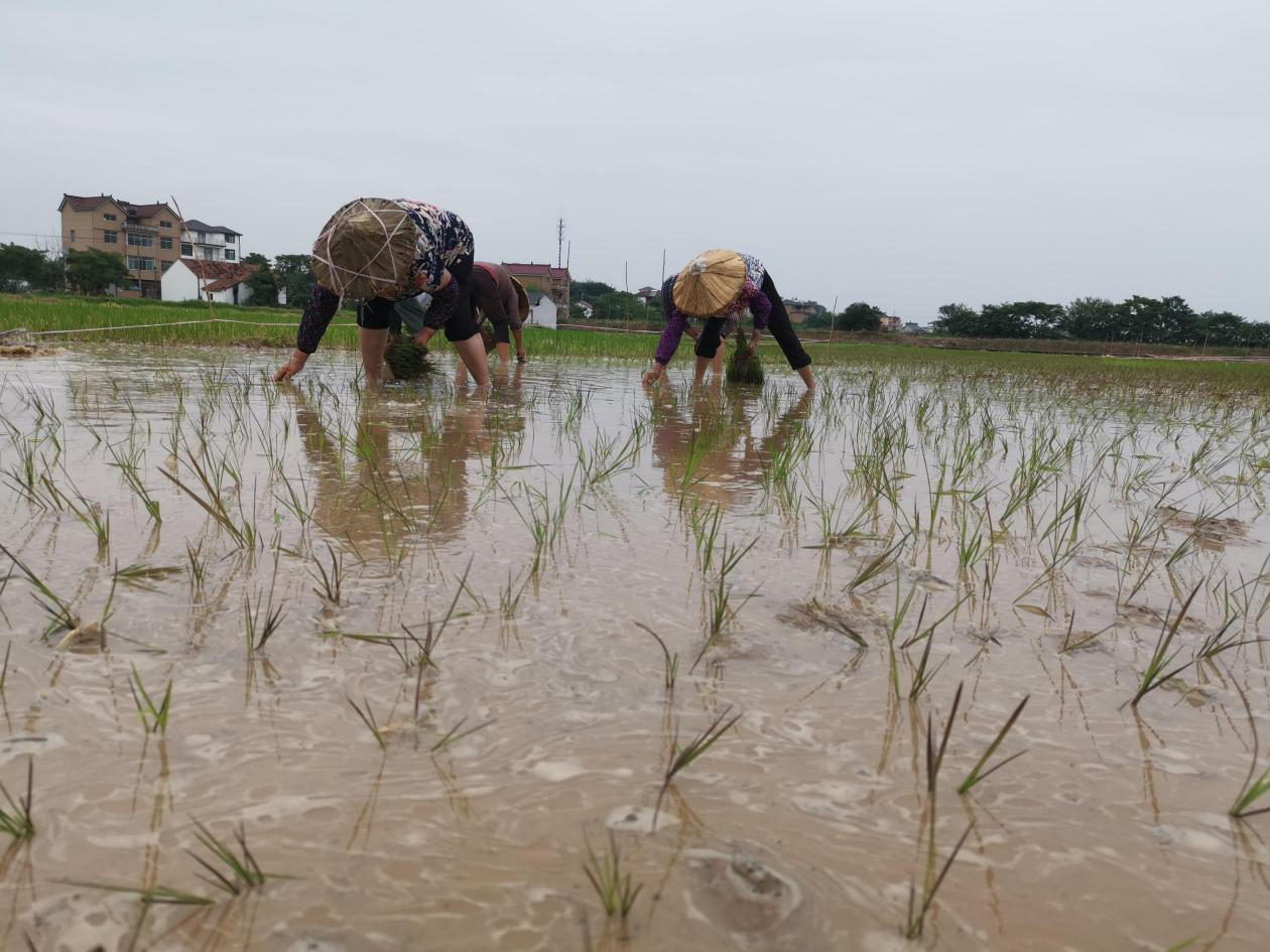 1636681626266930.png 圖片2 (1).png