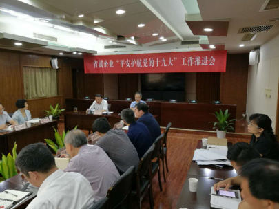 省國資委召開省屬企業(yè)“平安護航黨的十九大”工作推進會