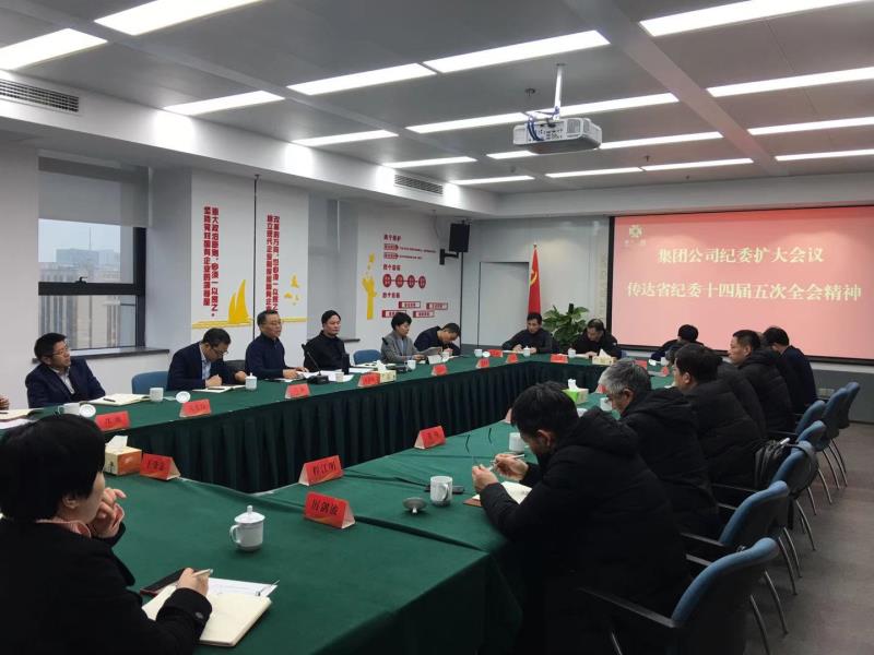 集團(tuán)公司紀(jì)委召開全體（擴(kuò)大）會議學(xué)習(xí)傳達(dá)中央紀(jì)委和省紀(jì)委全會精神