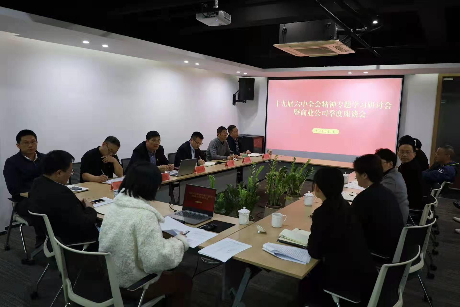 商業(yè)公司召開十九屆六中全會精神專題學(xué)習(xí)研討會暨季度座談會